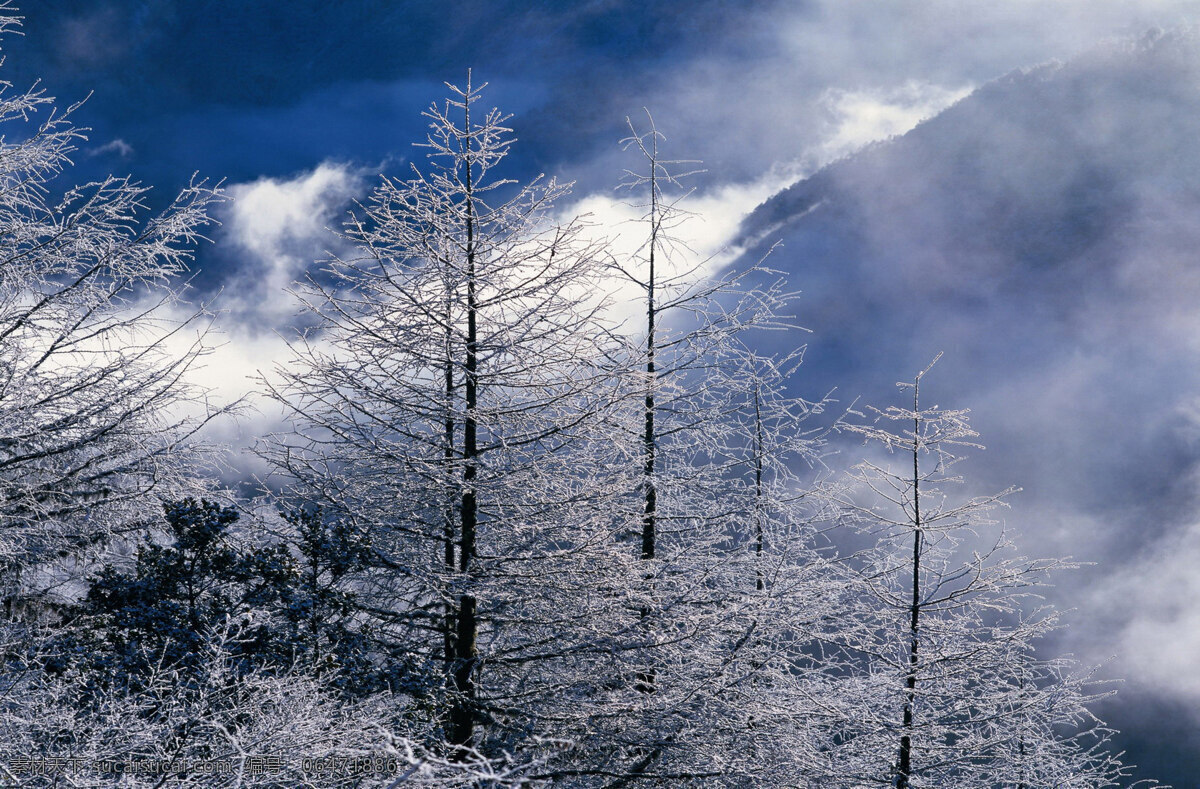 冬天 雪景 背景 冬天雪景 风光 风景 季节 摄影图库 自然 自然风景 自然景观 生活 旅游餐饮