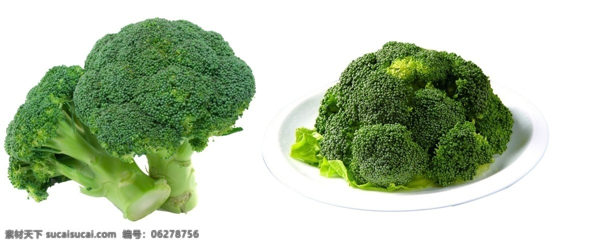 西兰花图片 西兰花 蔬菜 绿色蔬菜 有机西兰花 蔬菜素材 蔬菜元素 食材