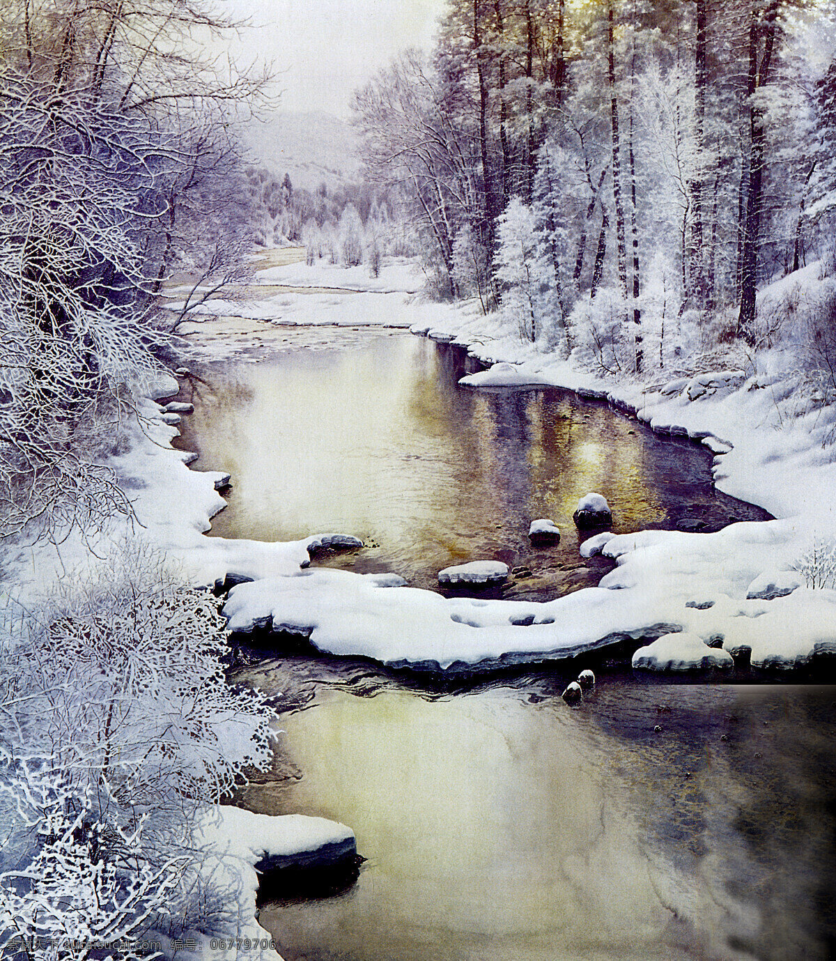 森林 中 雪景 高清 山林 树林 积雪