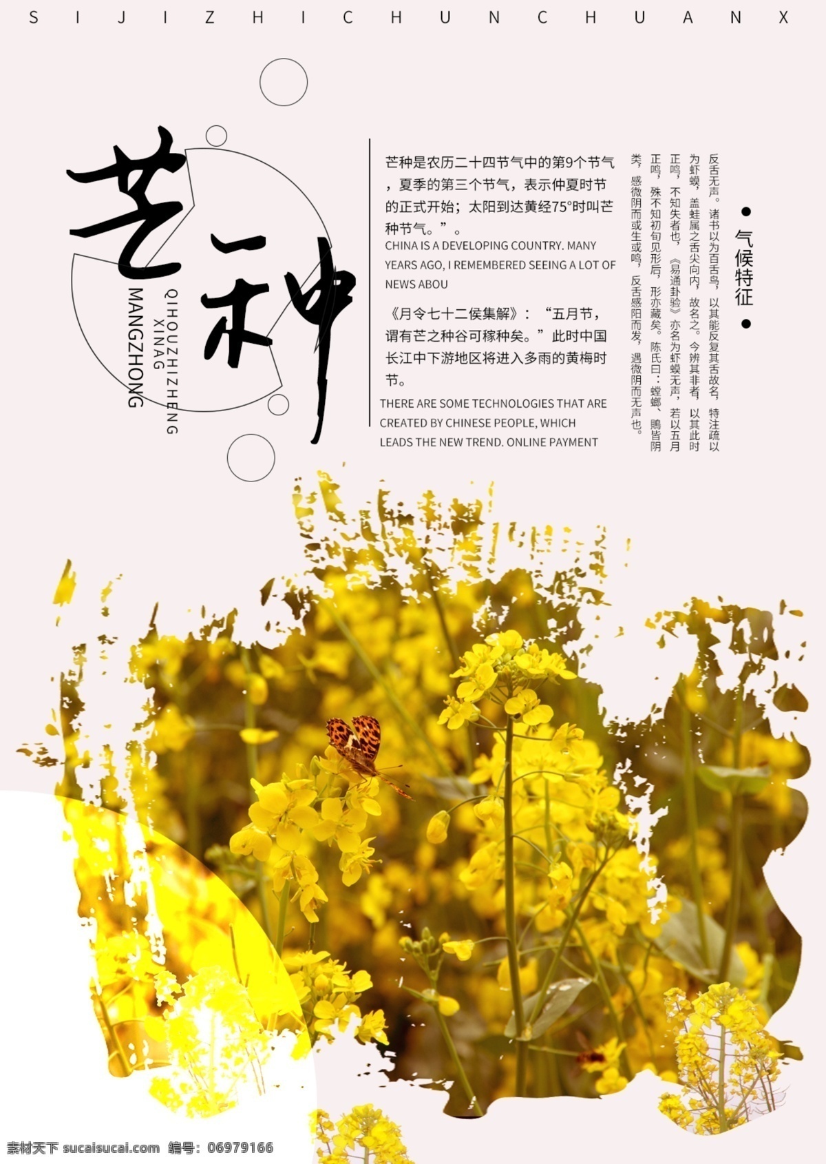 芒种 节日 海报 芒种海报 商用