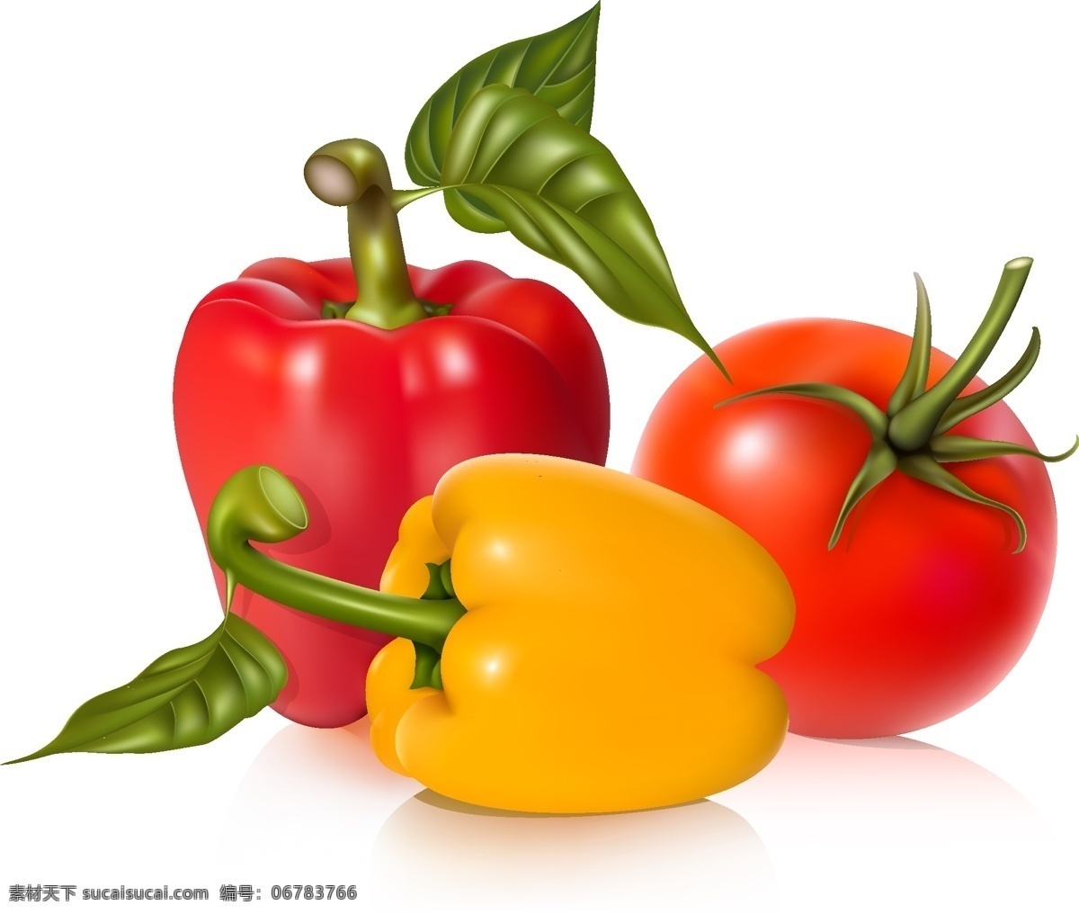 新鲜 蔬菜 矢量图 番茄 矢量素材 矢量图库 西红柿 新鲜蔬菜 叶脉 柿子椒 日常生活