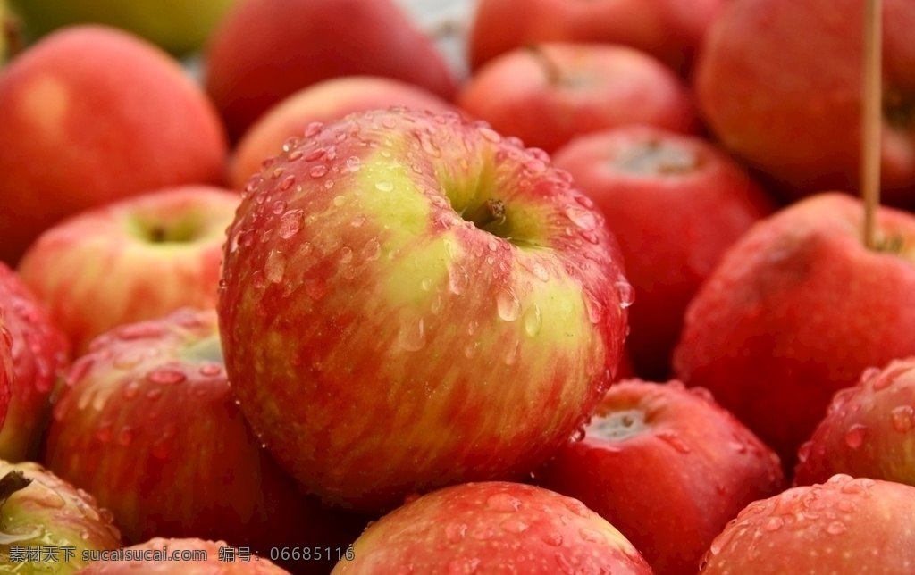 新鲜 好吃 红苹果 苹果 新鲜苹果 水果 香甜可口 生物世界