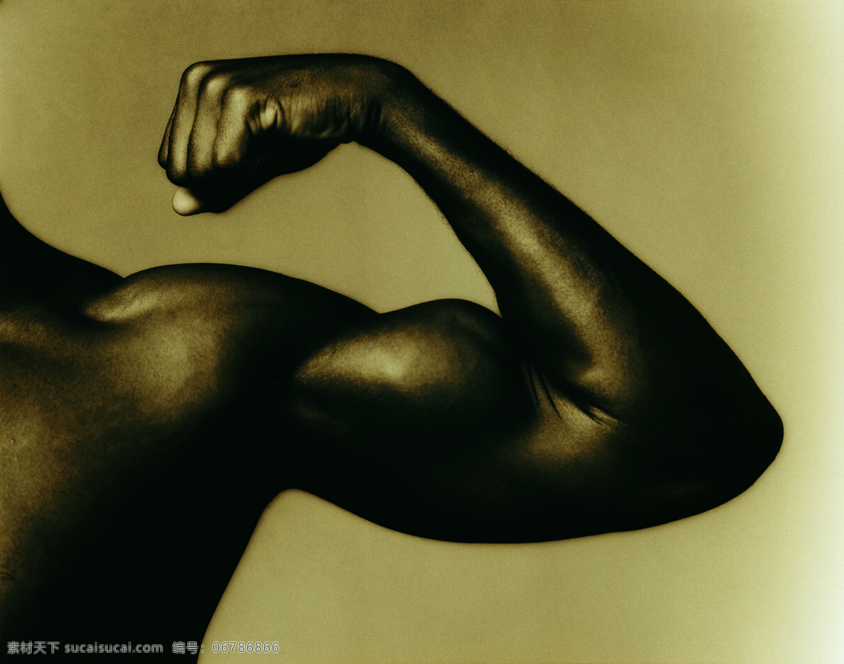 强壮 男人 男性 强壮的男人 魅力男性 胸肌 动态姿势 赤膊 模特 男模 肌肉男 人体姿势 人物摄影 男人图片 人物图片