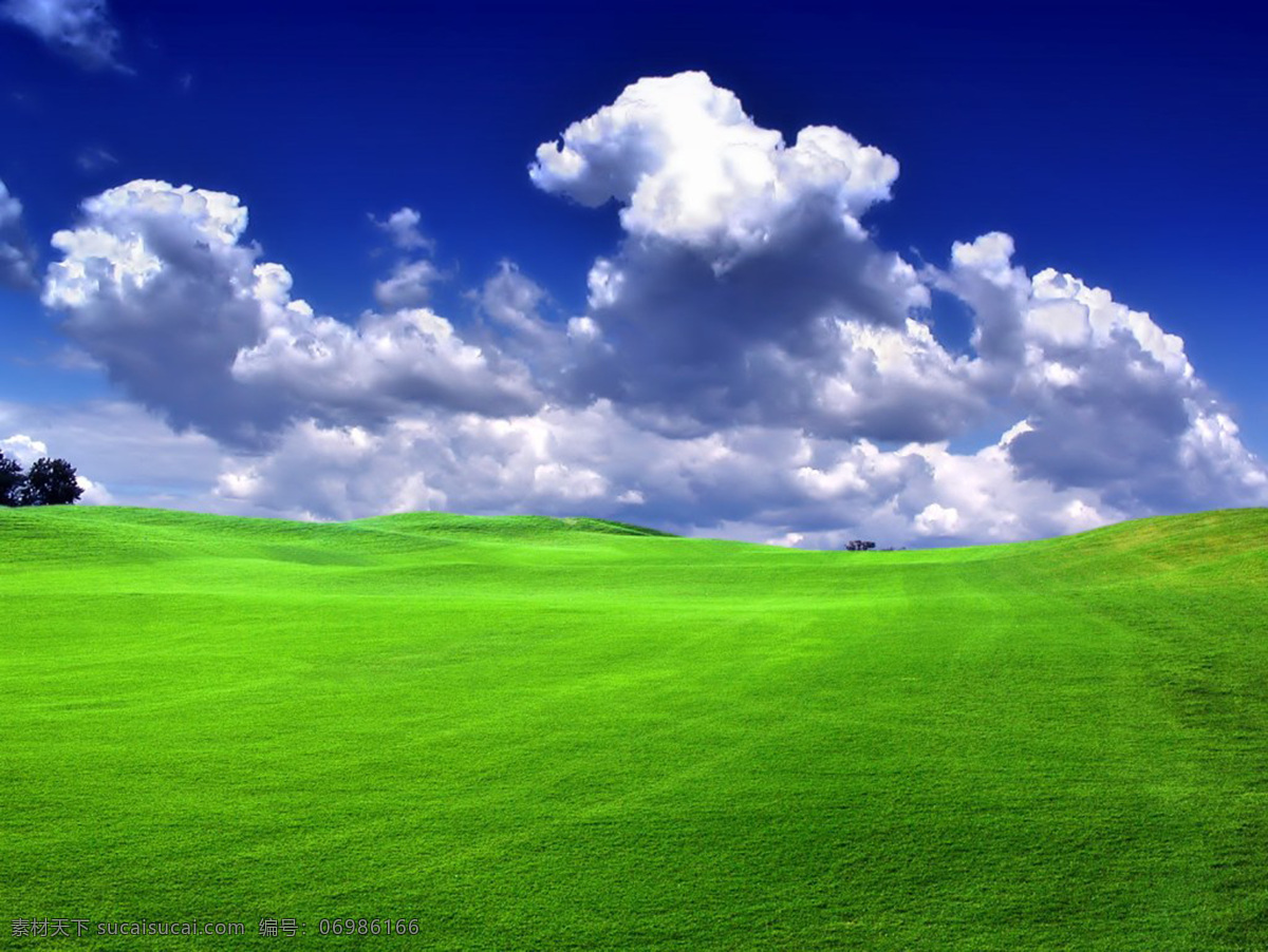 草地蓝天 植物 秋天 绿地 森林 草地 春天背景 蓝天白云 自然景观 自然风景