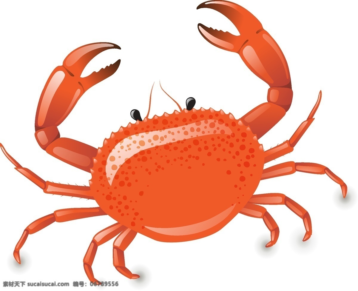 矢量螃蟹 螃蟹 卡通 海鲜 矢量 漫画 螃蟹矢量图 卡通螃蟹 红色螃蟹 大闸蟹 蟹子 海洋生物 生物世界