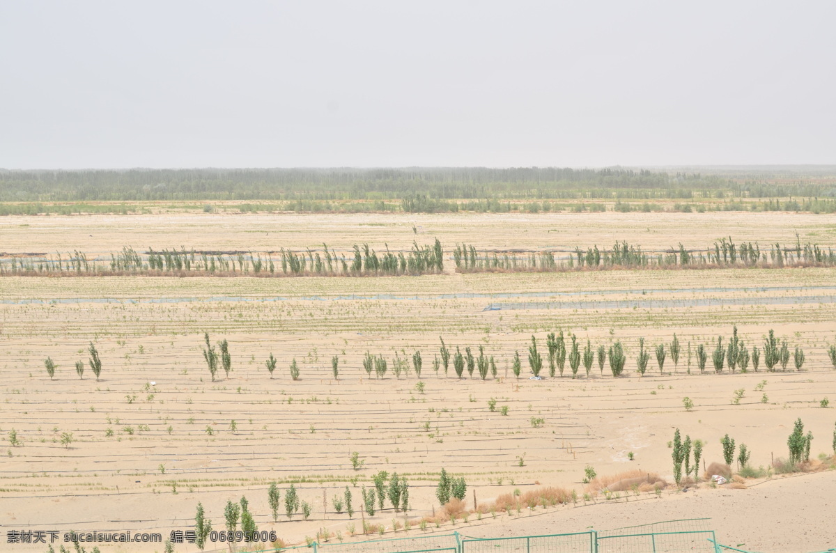 新疆农田 新疆和田 农作物 建设兵团 防风沙 屏障 自然景观 自然风景 灰色