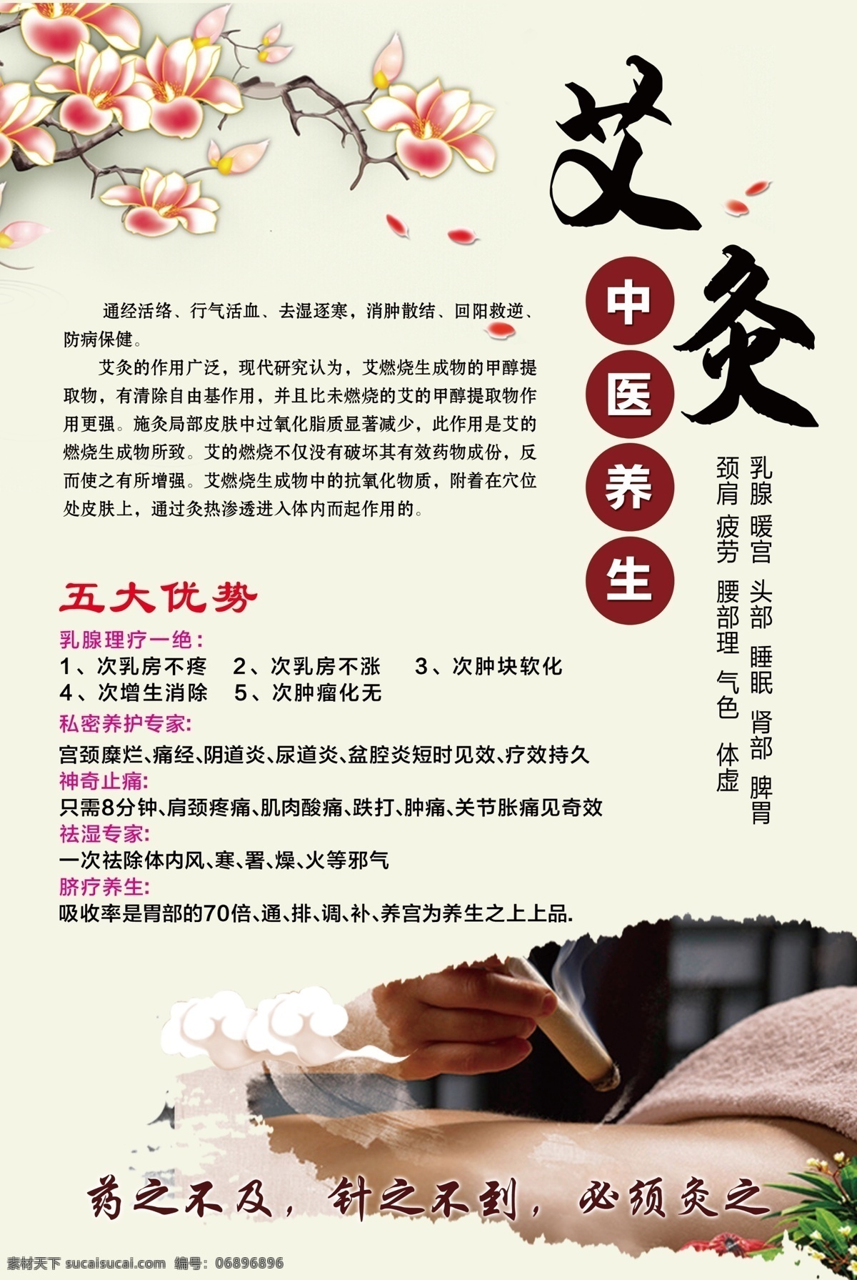 养生 艾灸 美容 中医养生 保养