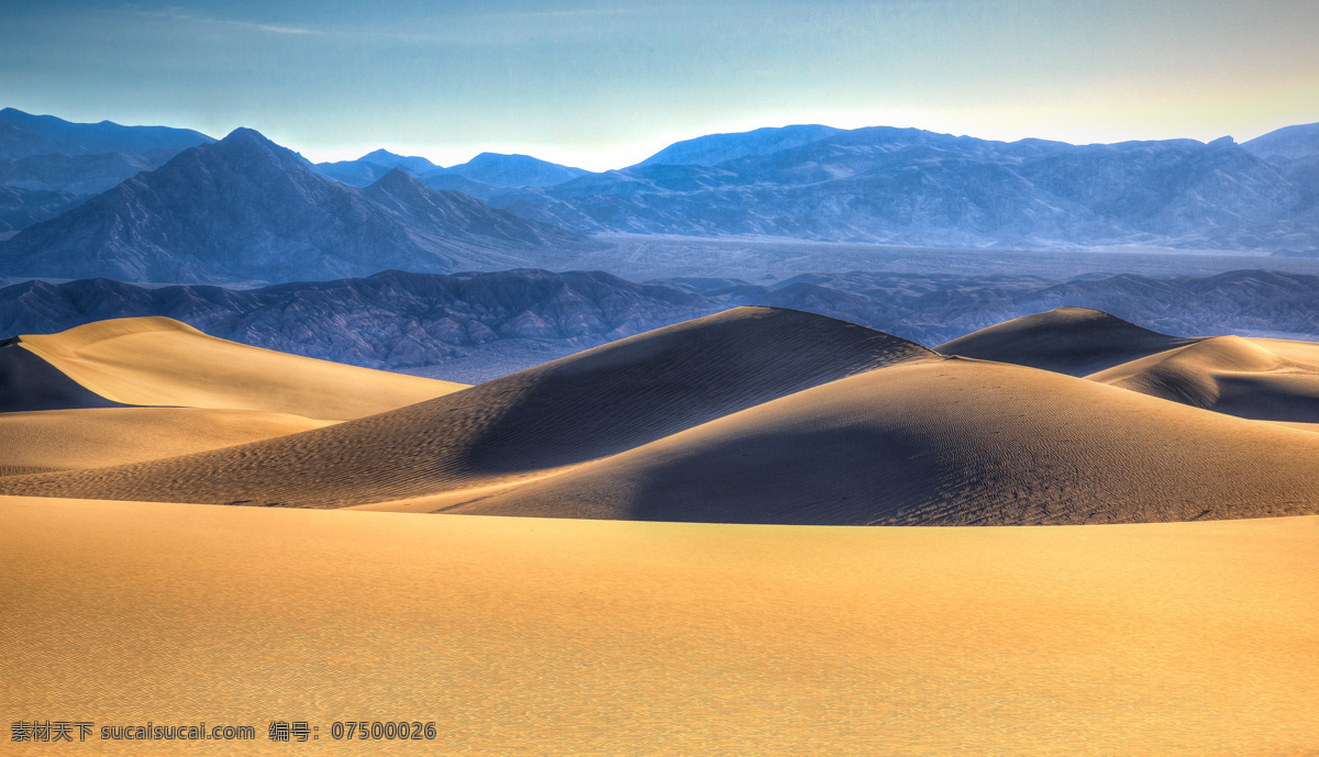 沙漠 沙丘 沙纹 沙漠植物 沙漠景观 沙漠风情 沙堆 黄沙 荒漠 荒沙 沙漠奇观 流动沙漠 沙子 沙漠风光 沙漠沙丘 沙漠风景 沙漠旅游 沙漠沙山 宁夏沙漠 戈壁滩 自然景观 自然风景