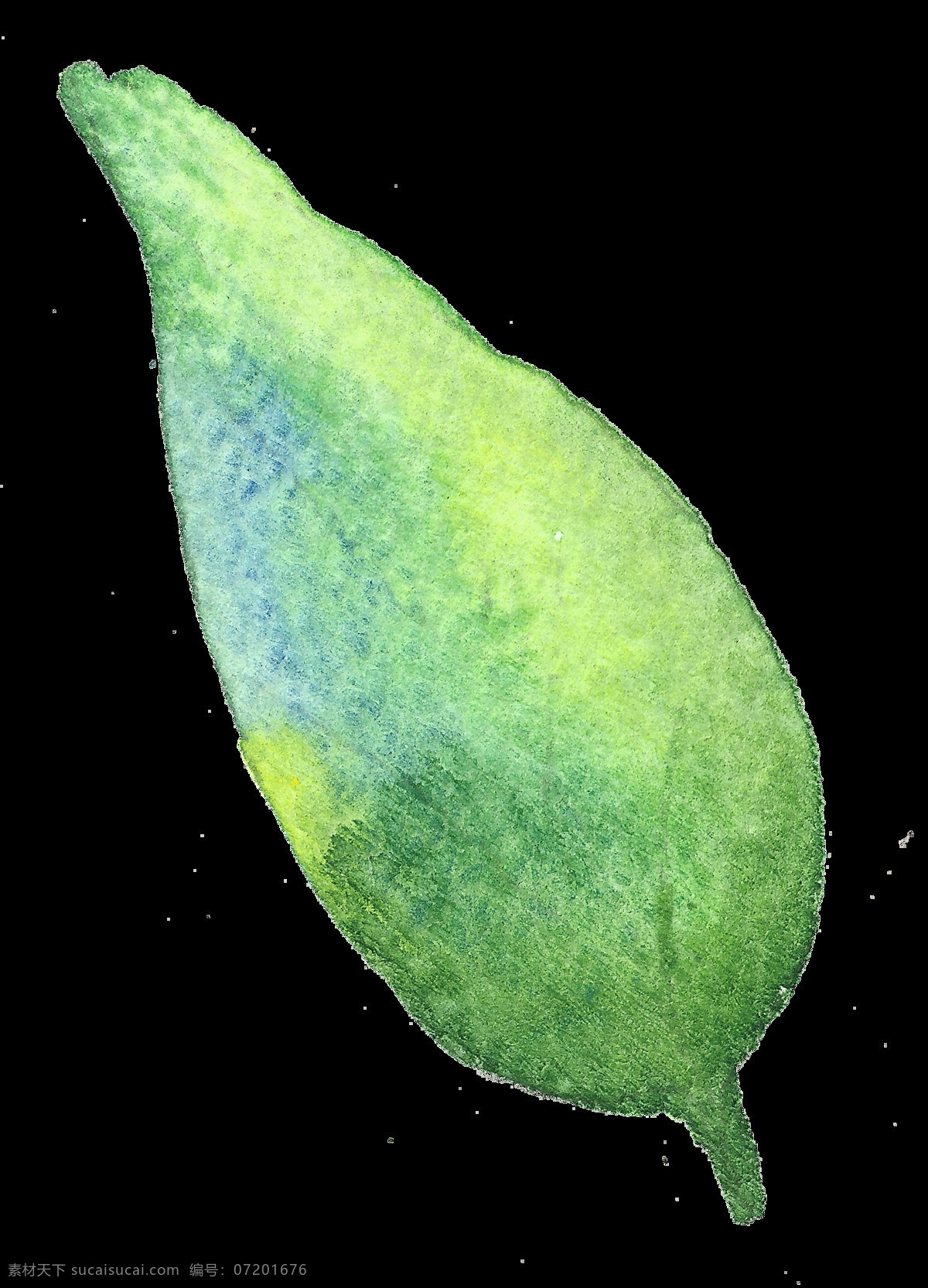 淡绿 枝叶 卡通 水彩 透明 植物 标本 透明素材 免扣素材 装饰图案