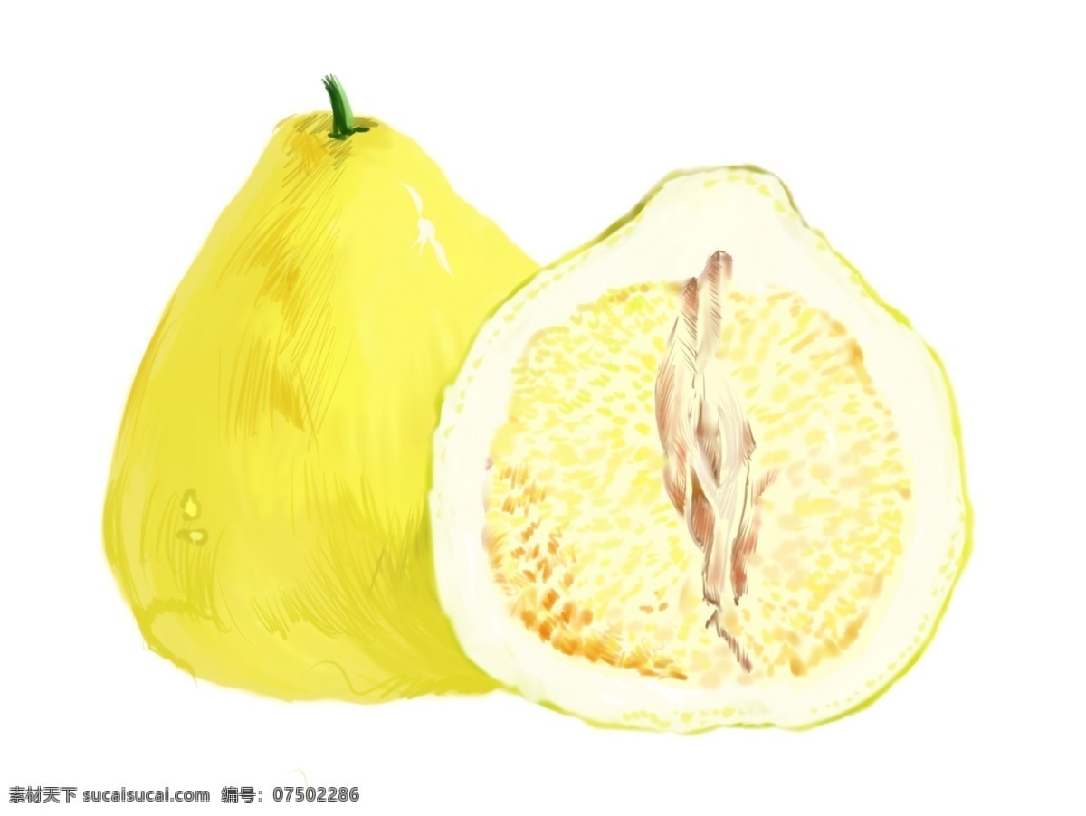 柚子 水果 手绘 插画 黄色柚子 切开的柚子 酸甜可口 营养美味 健康食品 新鲜水果 柚子插画