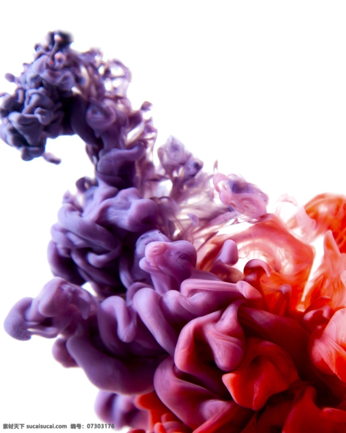 创意 唯美 烟雾 红 紫色 免 抠 红紫色 免抠素材 装饰素材