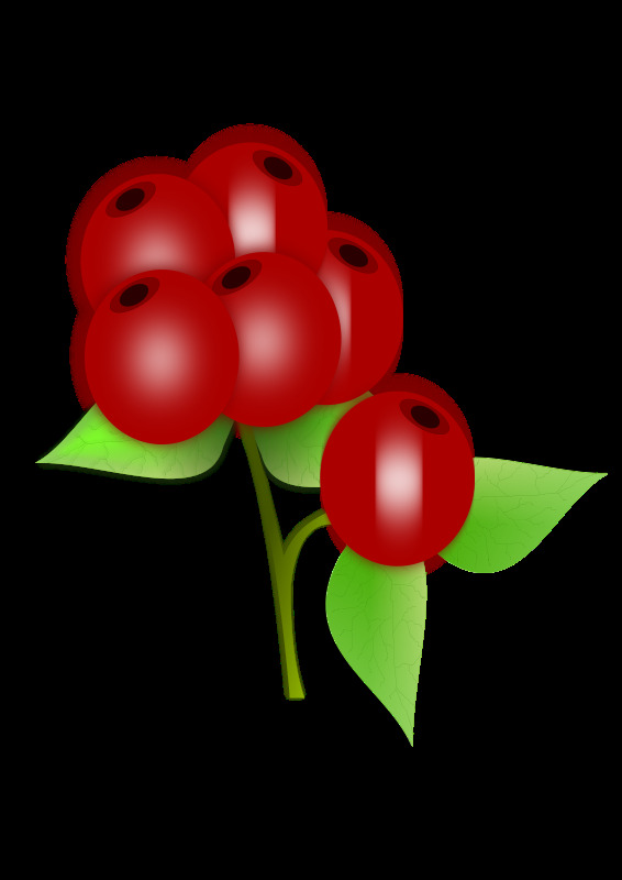 红色 浆果 食品 水果 叶 自然 束 可食用的 健康的 红色的 甜蜜的 插画集