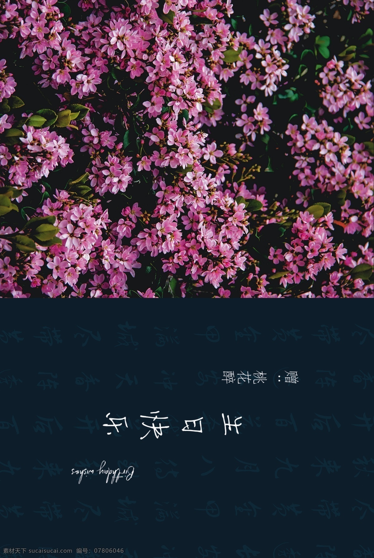 生日卡 卡片 明信片 生日 快乐 贺卡 生日快乐