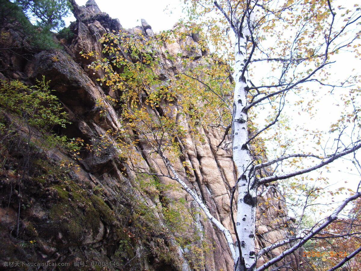 仙翁 山 风光 国内旅游 黑龙江 旅游摄影 摄影图 伊春 风景 生活 旅游餐饮