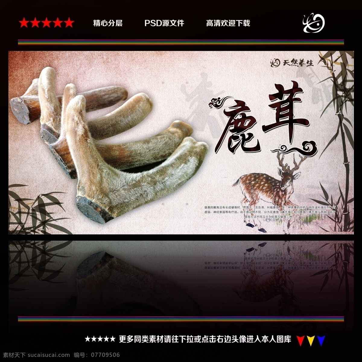 鹿茸 鹿茸海报 鹿茸展板 鹿茸草药 鹿茸药材 鹿茸名贵中药 鹿茸壮阳 鹿茸补肾 鹿茸养生 鹿茸牛鞭 鹿茸鹿鞭 鹿茸中药 鹿茸燕窝 鹿茸壮骨 鹿茸熊掌 鹿茸酒 新疆鹿茸 鹿茸补血 鹿茸中医 传统鹿茸 高丽参 人参 鹿茸粉 冬虫夏草 中药滋补 中药补品 中药 中草药 中药文化 金汤鹿茸 东北鹿茸 中医药
