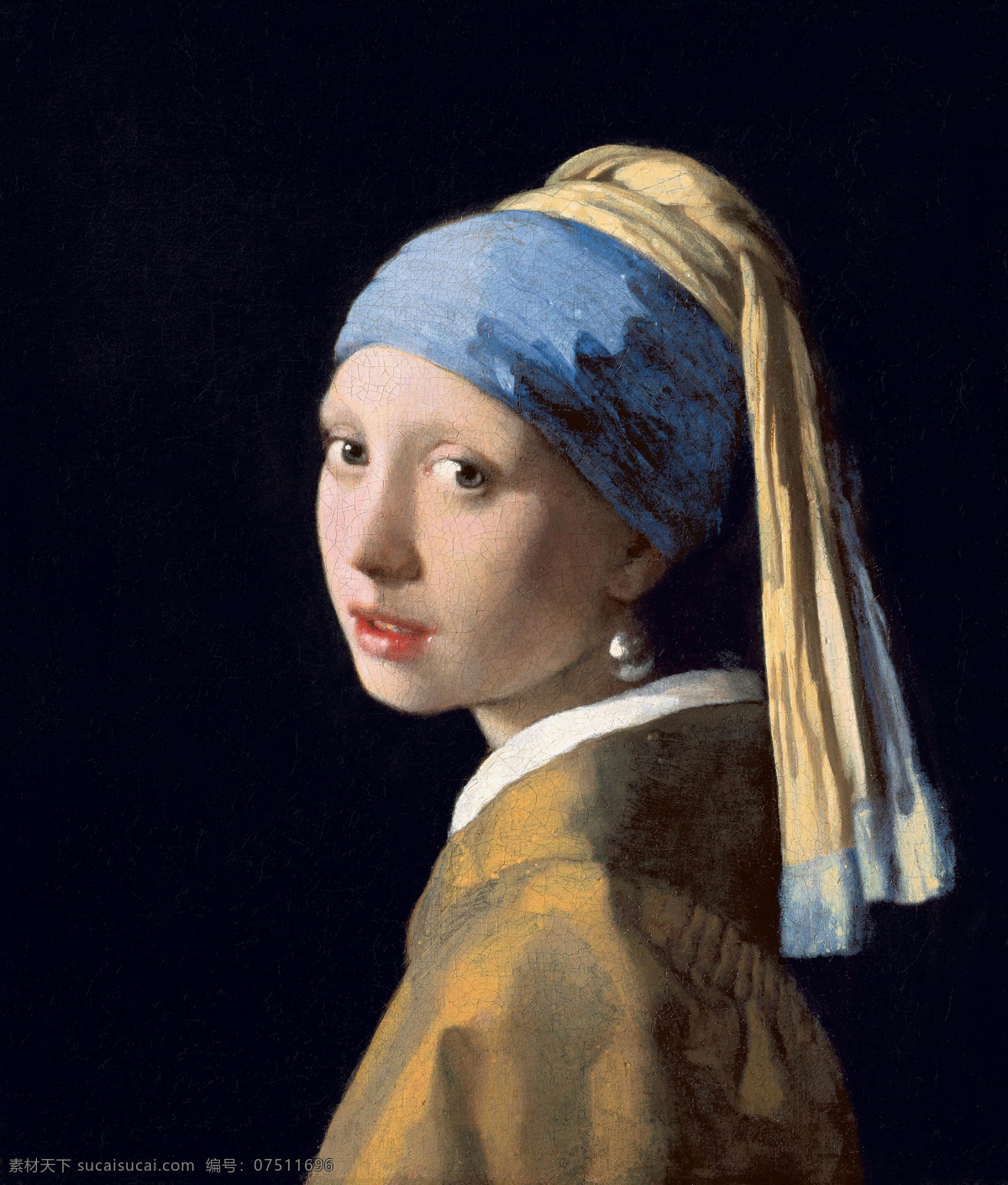 戴 珍珠 耳环 少女 油画 名画 世界 绘画 文化艺术 绘画书法