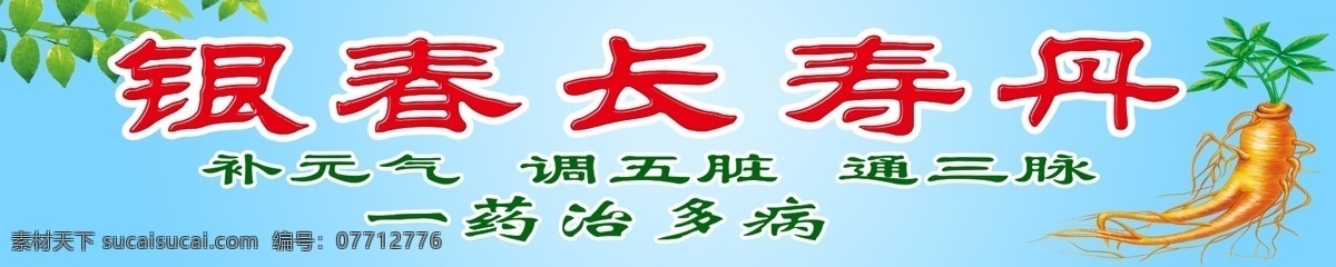 背景 广告设计模板 其他模版 人参 树叶 源文件 银杏 长寿 丹素 材 丹 模板下载 银杏长寿丹 海报 养生门头 海报背景图