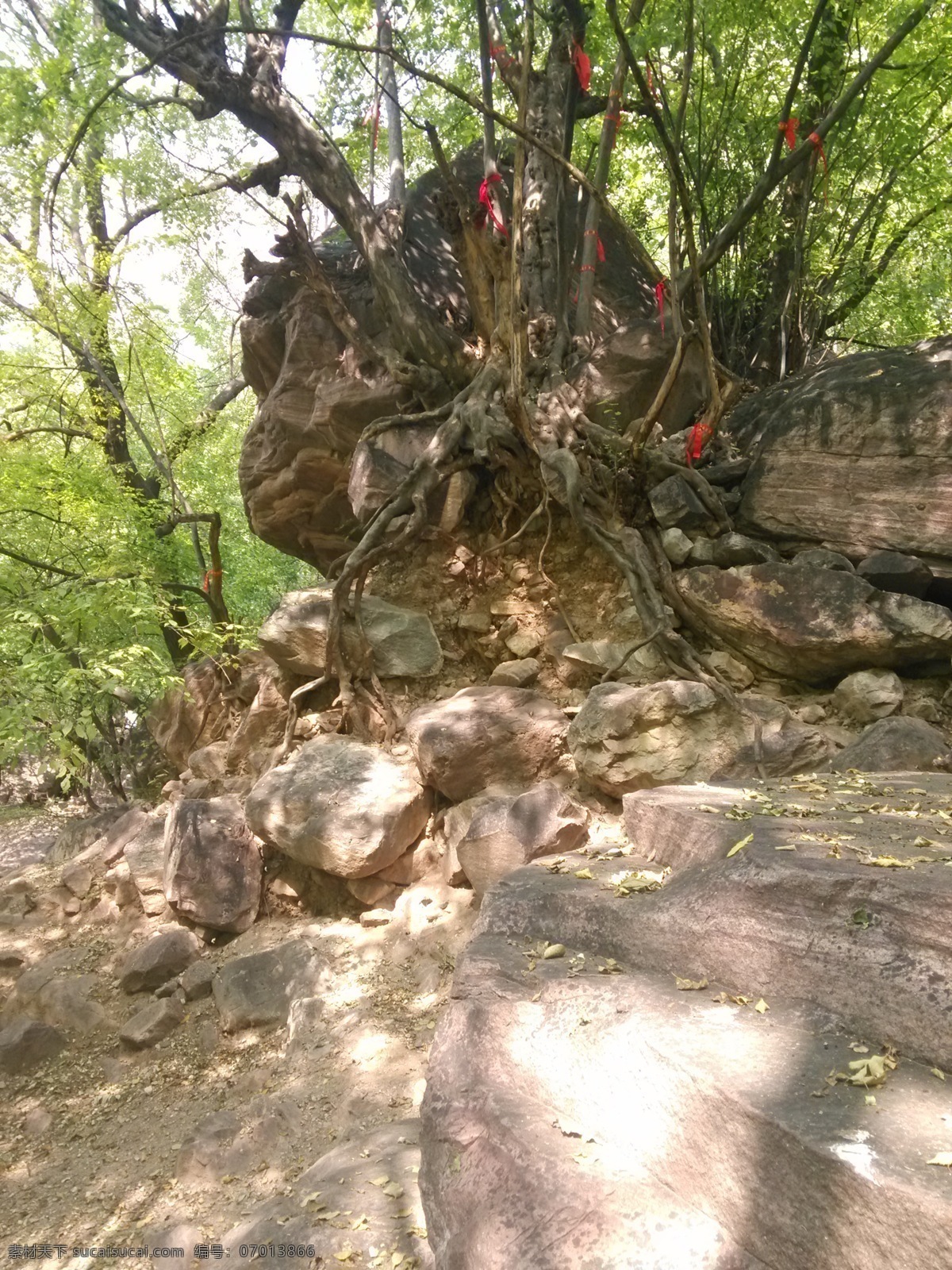 八里沟风景 河南八里沟 崇山峻岭 大山 绿树 峰峦重迭 绿山 山峦 自然风光 山水风景 自然景观 山区 爬山 陡峭 天梯 八里沟风景区