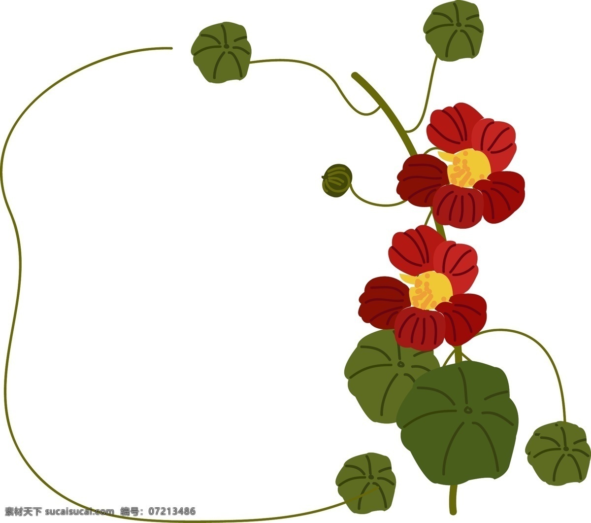 植物 花枝 卡通 插画 边框