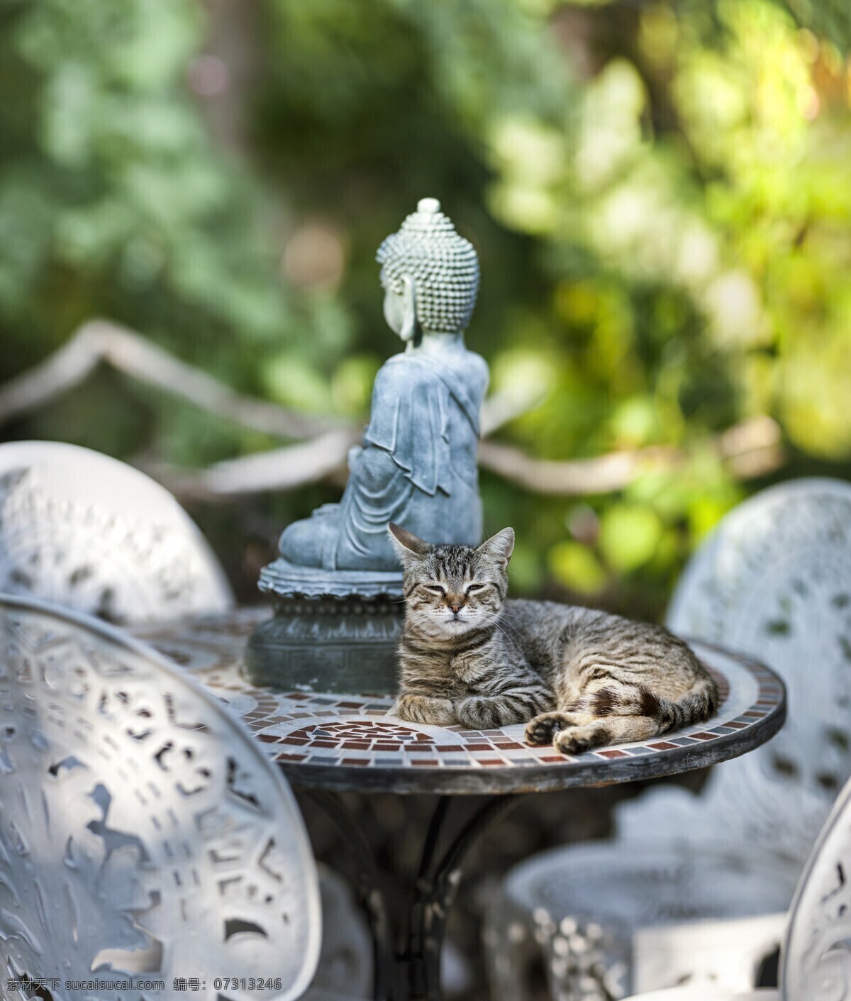 猫 打坐 佛像 雕塑 雕像 宗教 冥想 佛祖 雕刻 石雕 佛法 佛教 佛 猫咪 文化艺术 宗教信仰