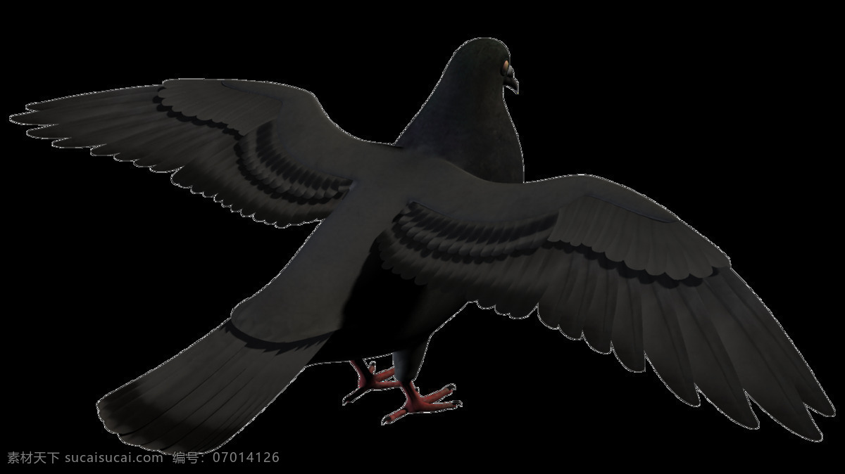燕子 模型 飞翔 高空 3d模型素材 游戏cg模型