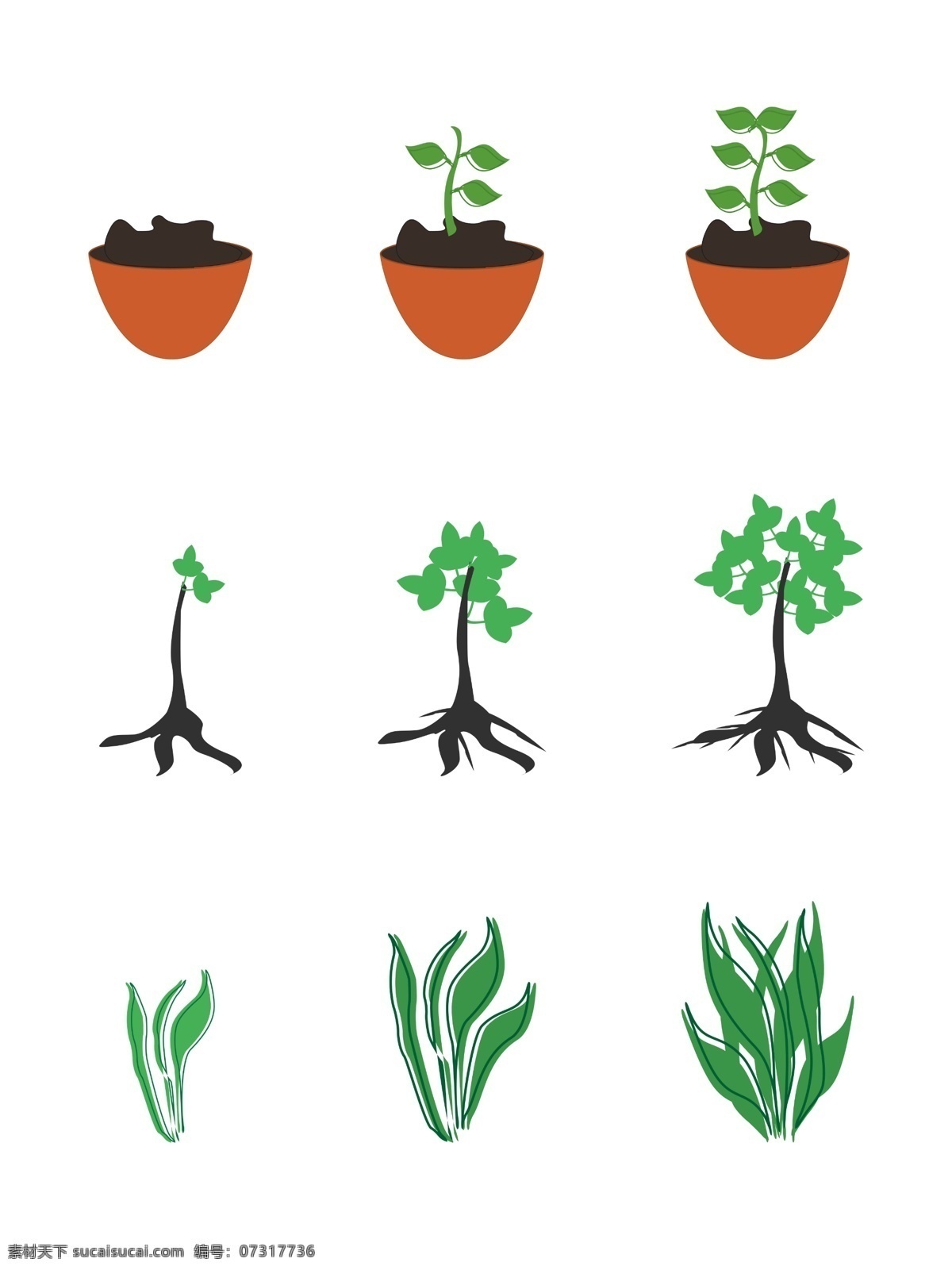 原创 植物 生长 过程 元素 成长 树苗 花盆
