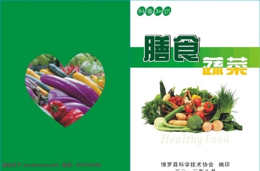 膳食 蔬菜 小册子 封面 茄子 辣椒 南瓜 韭菜 黄瓜 大蒜 其他设计 矢量