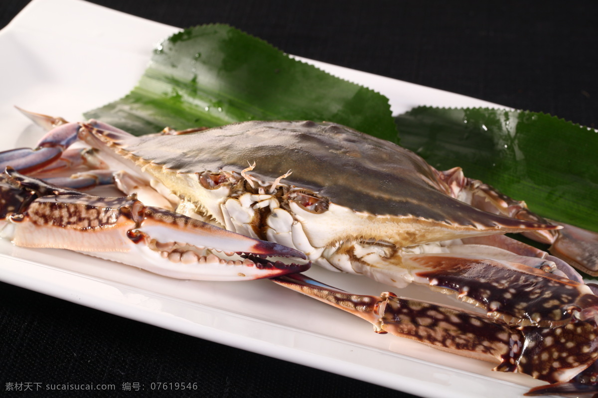 螃蟹 青蟹 膏蟹 花蟹 兰花蟹 梭子蟹 海鲜 海蟹 鲜美 美味 名菜 名吃 传统美食 餐饮美食