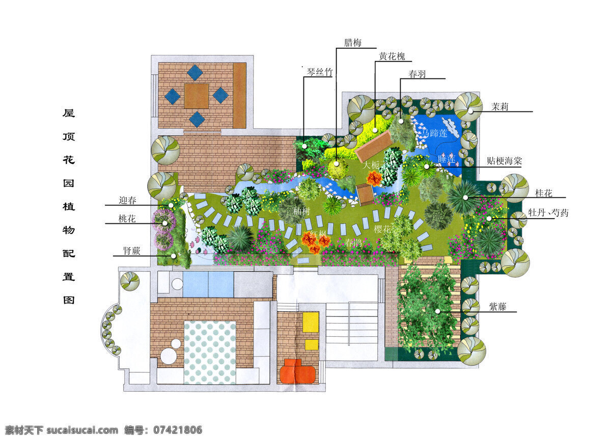 屋顶花园 植物 配置 彩色 平面图 彩平 花园 建筑设计 图纸 屋顶 景观规划 cad素材 建筑图纸