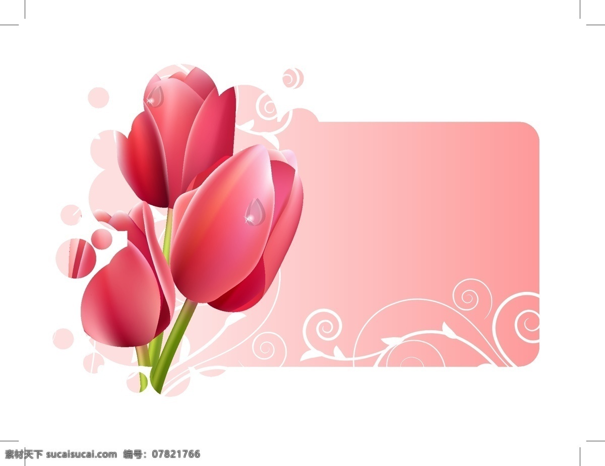 春天 郁金香 水滴 水珠 卡片 贺卡 手绘花朵 手绘花纹 春天花纹 春季花纹 时尚 潮流 梦幻 唯美 华丽 花纹