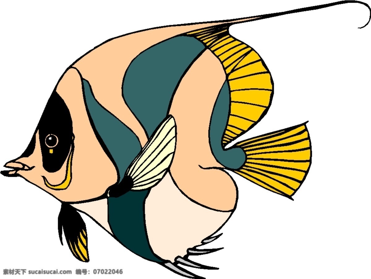 鱼儿 鱼 生物世界 海洋生物 矢量图库 wmf