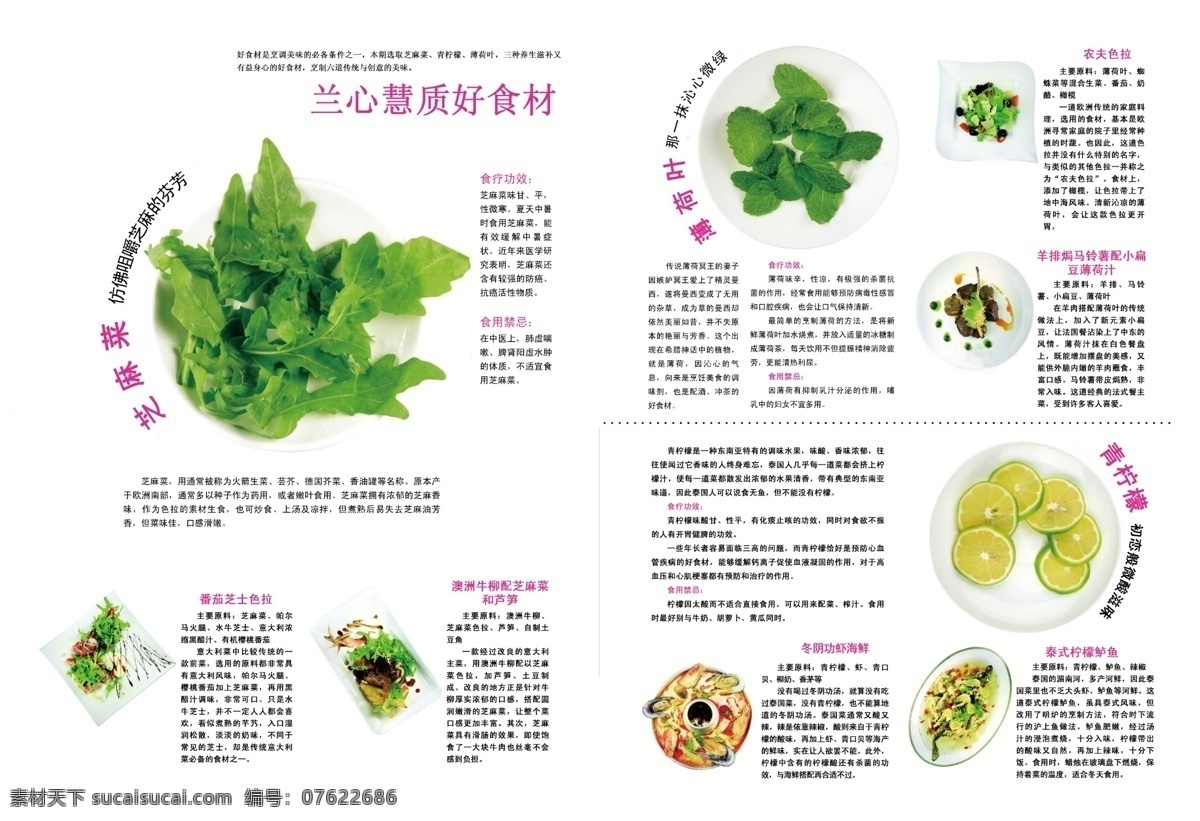 薄荷叶 广告设计模板 健康 美食 柠檬 排版 其他模版 软文 食材 蔬菜 杂志 芝麻菜 时尚 杂志内页 版面编排 源文件 画册 其他画册整套