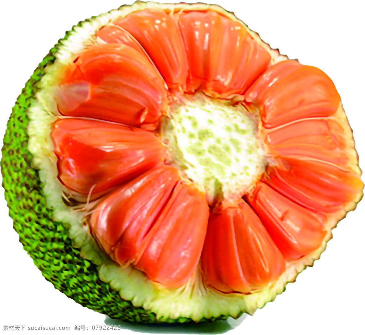 泰国 红 肉 菠萝蜜 红肉菠萝蜜 高清图片 菠萝蜜图片 菠萝蜜素材