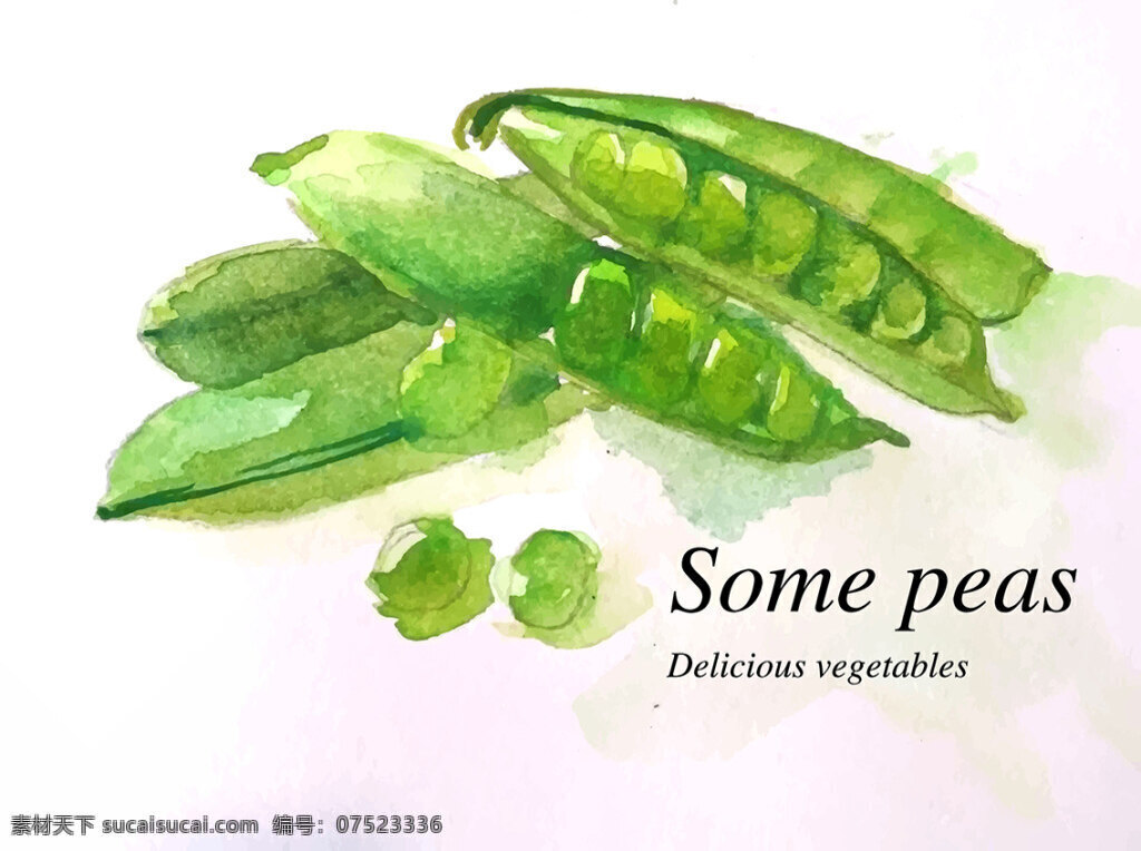 手绘 水彩 豌豆 蔬菜 绿色 美味 植物 食品 some peas delicious vegetables