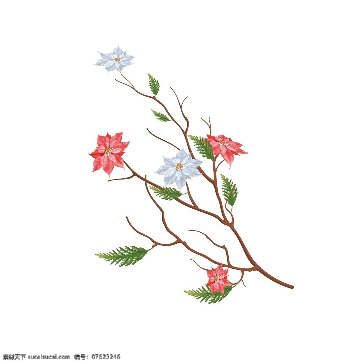 手绘 风水 彩 写实 花卉 树枝 植物 水彩