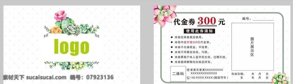 植物代金券 300 元 代金券 优惠券 抵用券 植物 花朵 鲜花 鲜花卡片 手绘卡片 点线 点线背景 菱形背景 多肉植物 多肉 卡片 优惠卡片 使用须知 使用此券须知