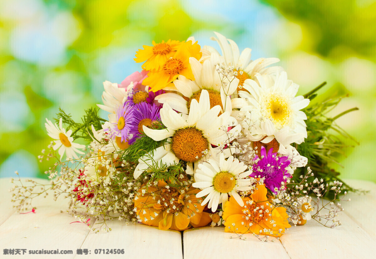 非洲雏菊 非洲 雏菊 花束 鲜花 唯美 色彩丰富 高清 生物世界 花草