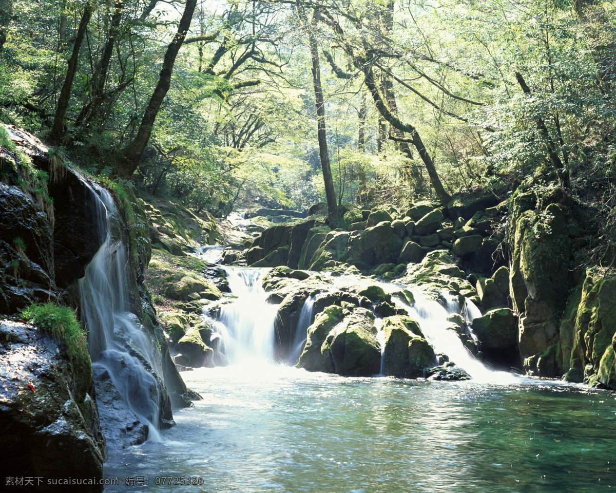 树免费下载 风景 山水风景 摄影图 树 植物 自然景观 水 家居装饰素材 山水风景画