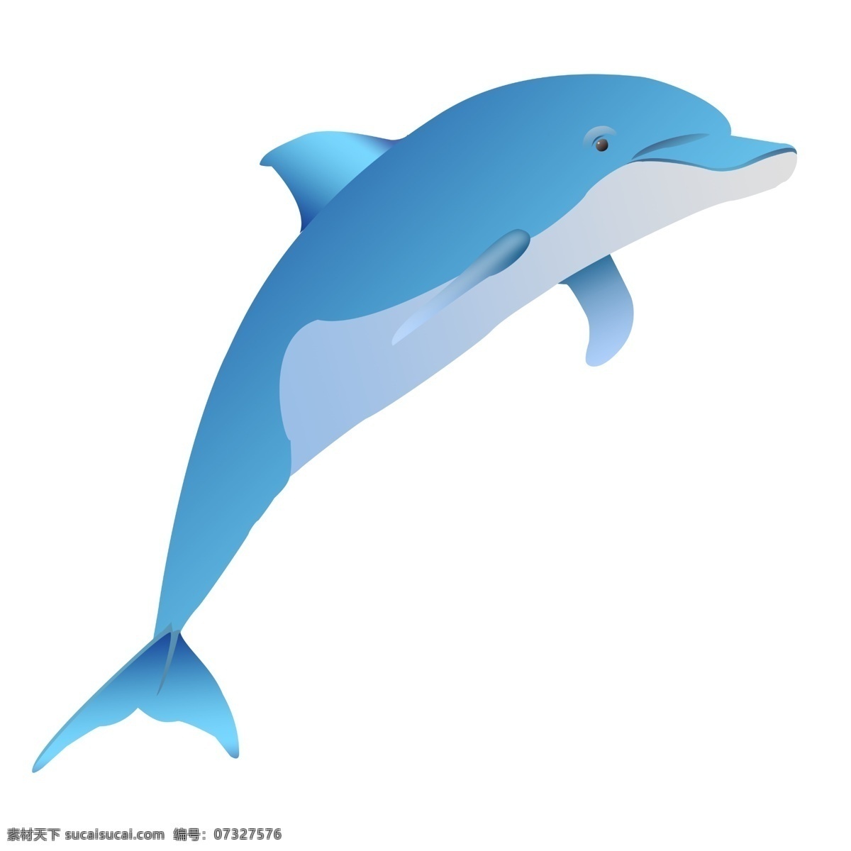 跳跃蓝色海豚 游泳 观赏 生物