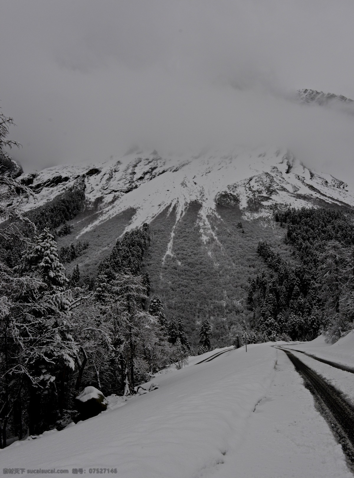 墨脱 西藏 3月 雪山 寒树 道路 自然风景 旅游摄影