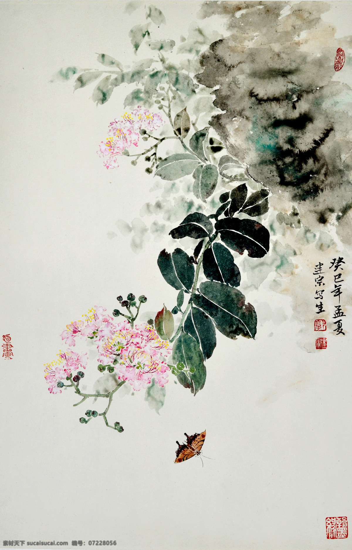 紫薇花 美术 中国画 花卉画 紫薇 彩蝴 石头 国画艺术 绘画书法 文化艺术