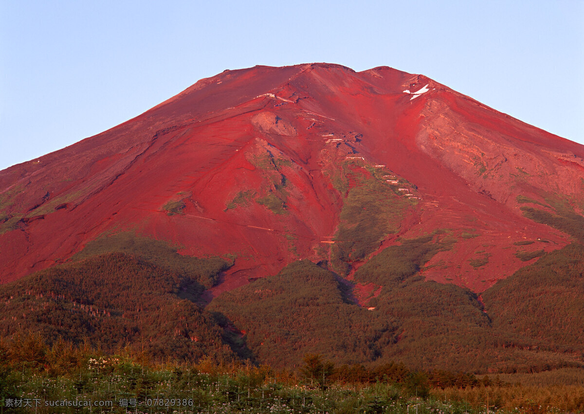 富士山 日本 雪山 旅游 国外旅游 37樱花 自然景观 自然风景 红色