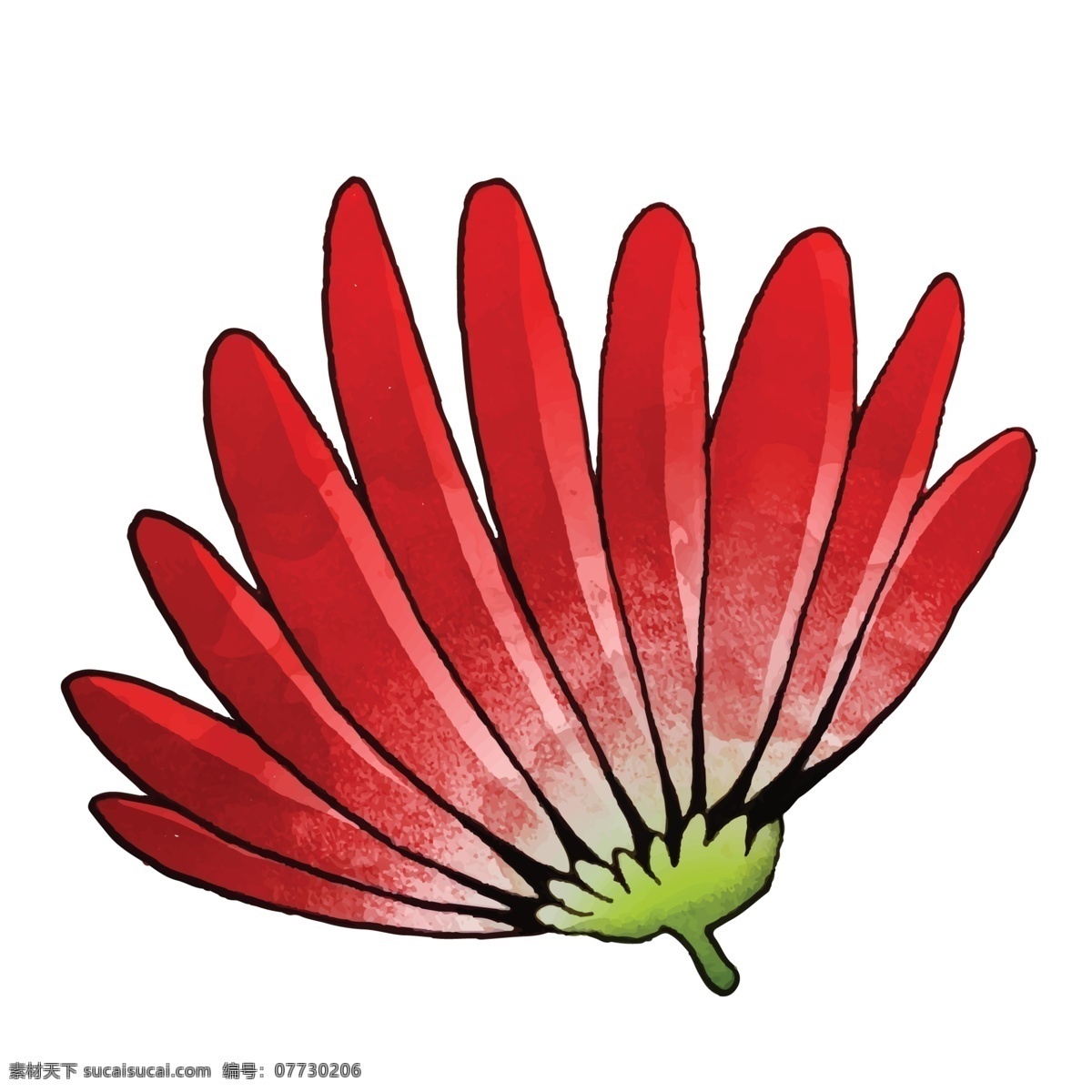 红色 仿真 卡通 菊花 卡通菊花 仿真菊花 卡通仿真菊花 简 笔画 清新空气 菊花侧面