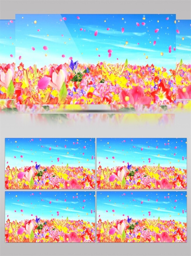 粉色 花开 视频 粉色花开 唯美星空 蝴蝶花瓣 高清视频素材 特效视频素材 生活 实用 背景