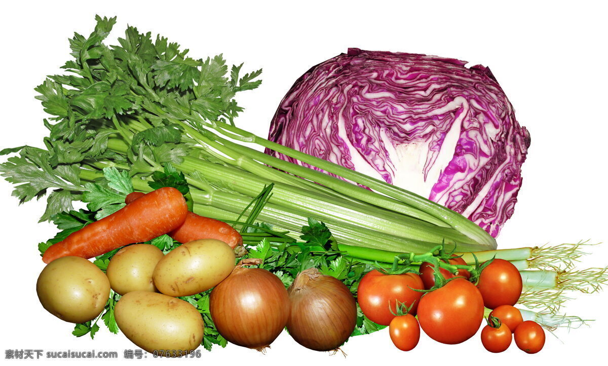 营养健康蔬菜 营养蔬菜 健康蔬菜 绿色蔬菜 西芹 洋葱 马铃薯 红萝卜 西红柿 包菜 蔬菜 食材 生物世界