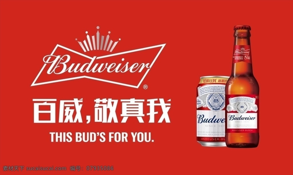 百威啤酒 百威logo 百威标志 百威模板 百威海报 百威广告 饮食餐饮茶酒