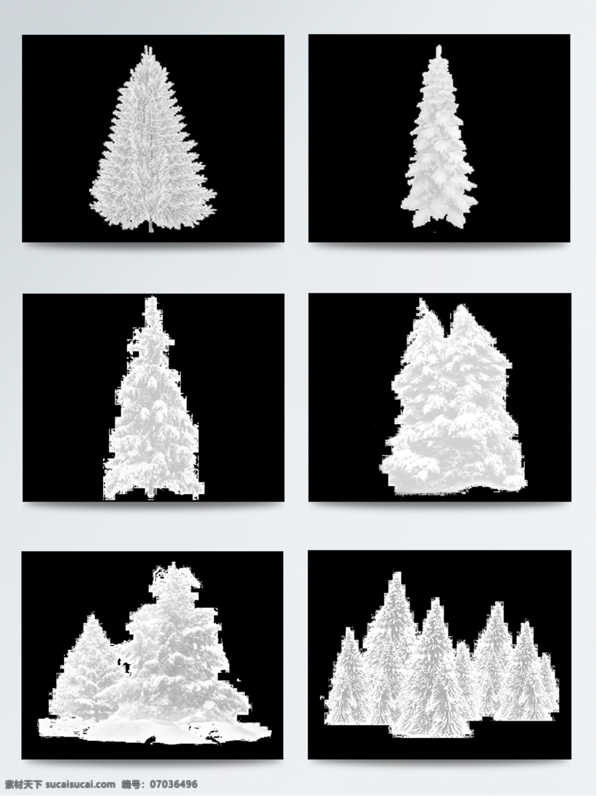 白色雪树 白雪 冬日装饰 树林剪影 松树 雪树素材 雪树装饰 白色 雪 树 雪松 装饰 雪树元素