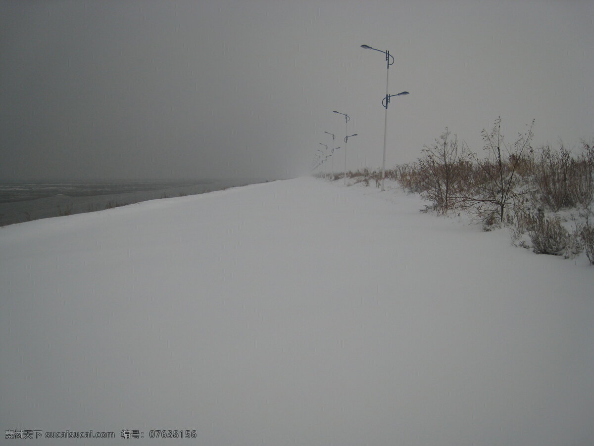 冬雪 原野 海岸 生态 雪景 芦苇雪地 自然景观 自然风景 灰色