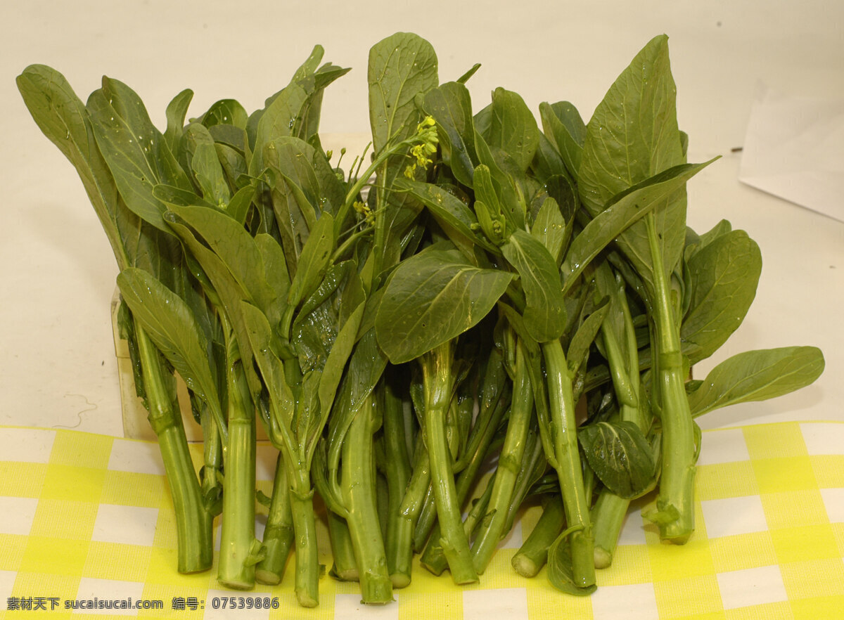 农作物 生活素材 生物世界 蔬菜 蔬菜素材 新鲜蔬菜 菜心 丰收季节 时令蔬菜 新鲜菜心 生态植物 风景 生活 旅游餐饮