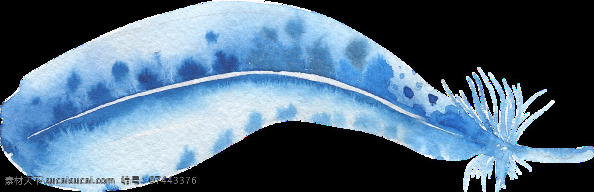 海洋 羽翼 透明 装饰 羽毛 蓝色 透明素材 免扣素材 装饰图案